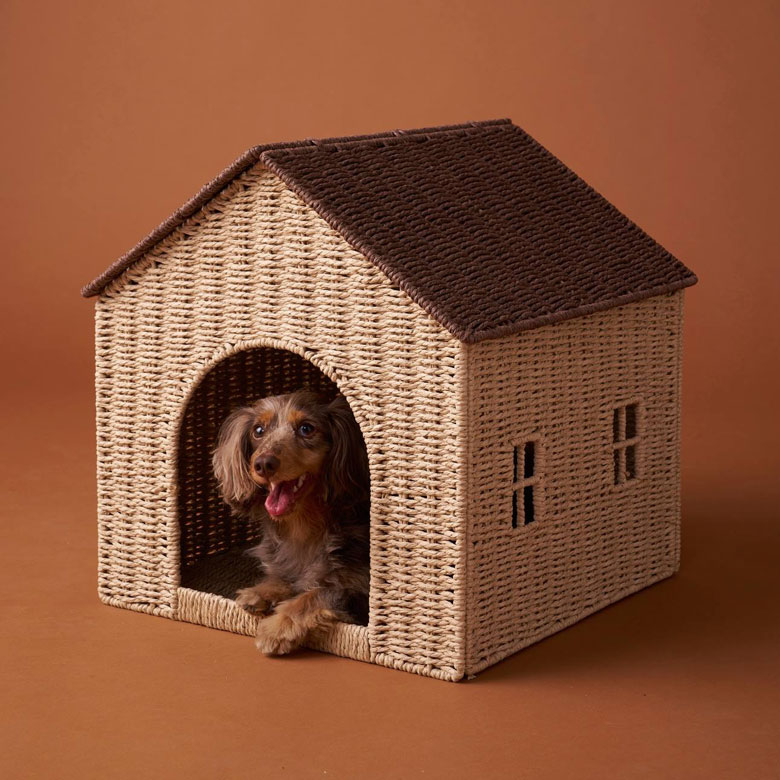 collection pour animaux de compagnie