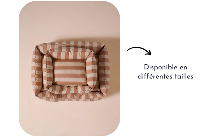 panier pour chien différentes tailles design