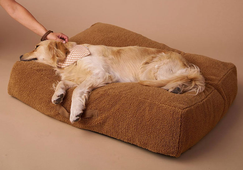 panier pour chien design 